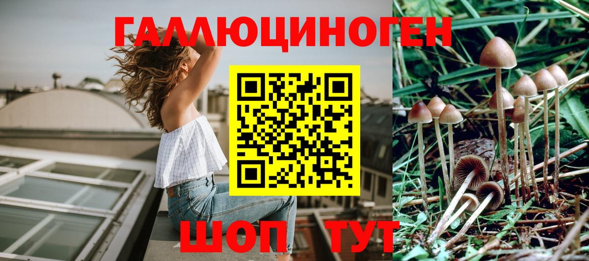 Ижевск  Псилоцибиновые грибы GOLDEN TEACHER  Вход с VPN 